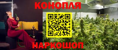 мет Можга